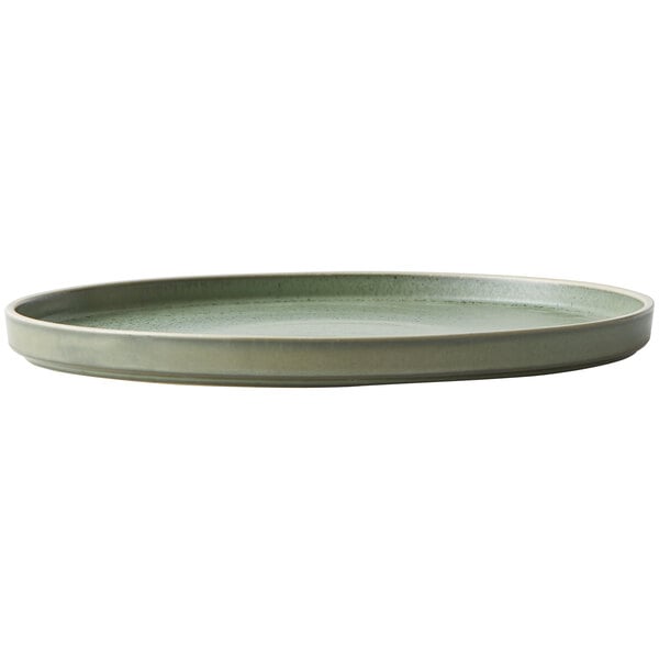 A close up of a Oneida Moira Smoky Basil stoneware plate with a rim in green.