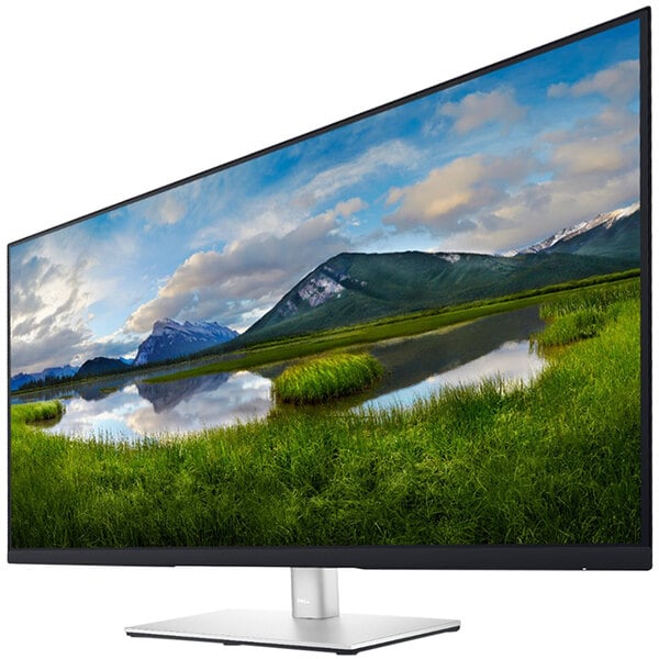 A Dell black computer monitor with a landscape on the screen.