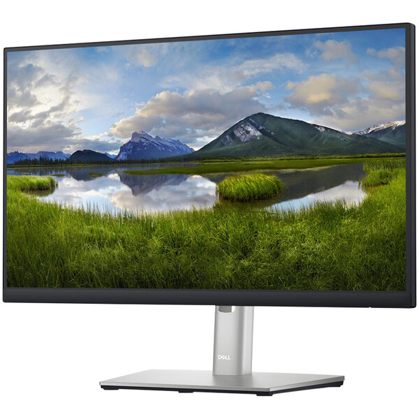 A Dell computer monitor displaying a landscape with a lake and mountains.