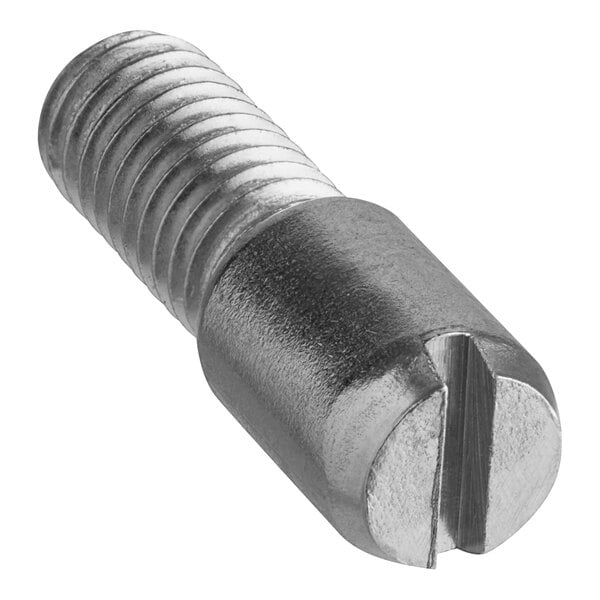 An Avantco Axis cover screw with a stainless steel head.