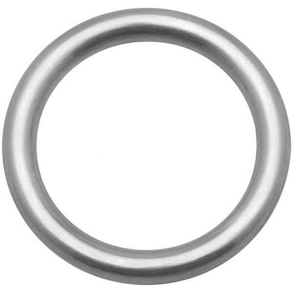 A stainless steel ring with a white background.