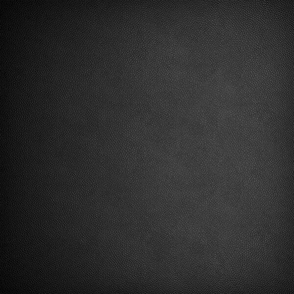 A close-up of a black vinyl cushion with a leather texture.