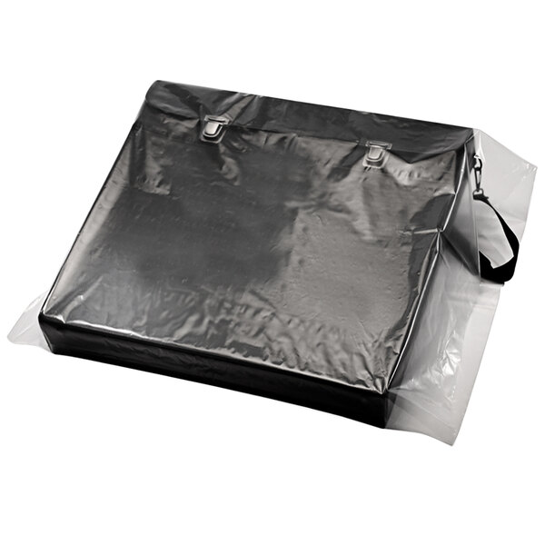 A clear flat Lavex poly bag with a clipping path.