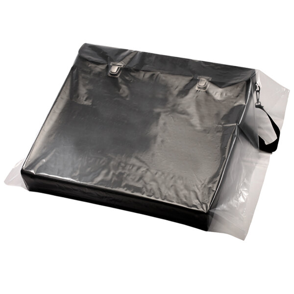 A clear flat poly bag with clipping path.