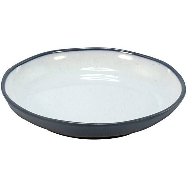 A Dalebrook steel blue melamine deep plate with a white and grey bowl and a blue rim.