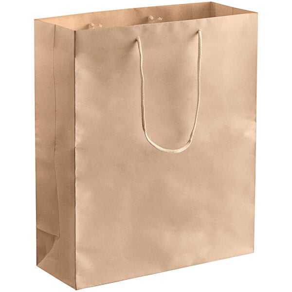 A customizable brown paper bag with rope handles.