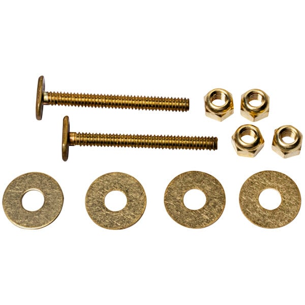 A set of brass screws and nuts.