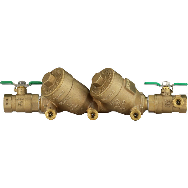 A Zurn double check valve backflow preventer with brass check covers.