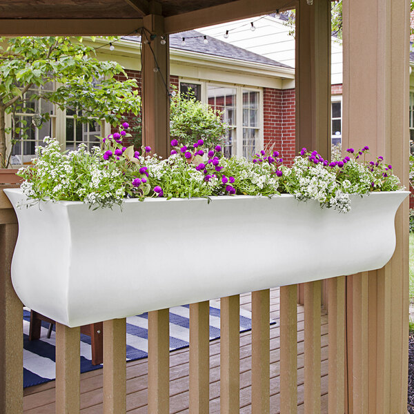 A white rectangular Mayne Valencia window box with purple flowers.