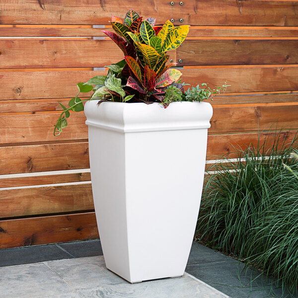 A white rectangular Mayne Chelsey planter with colorful plants in it.