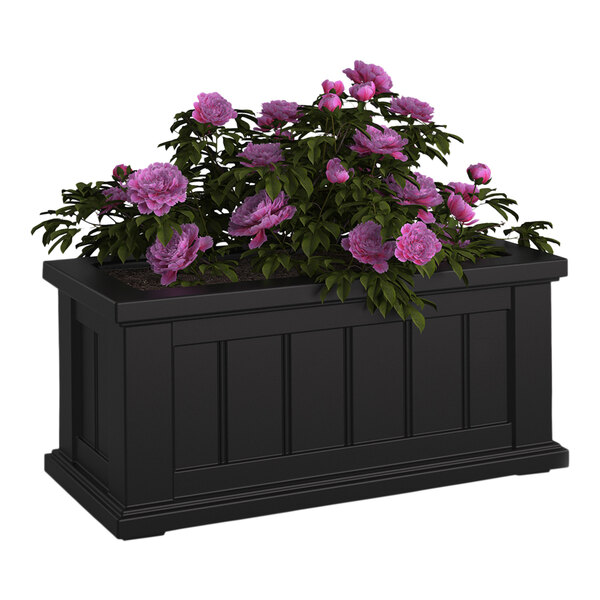 A black rectangular Mayne Cape Cod planter with purple flowers.