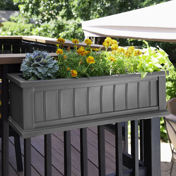 A Mayne Cape Cod graphite grey window box on a deck with yellow flowers.