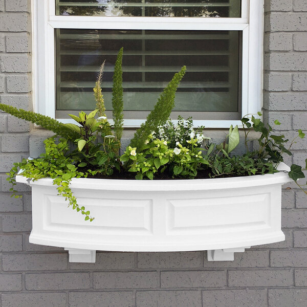 A white Mayne Nantucket window box with greenery and plants in it.