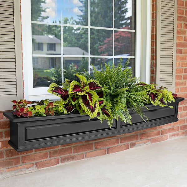 A Mayne Nantucket black window box with different plants in it.