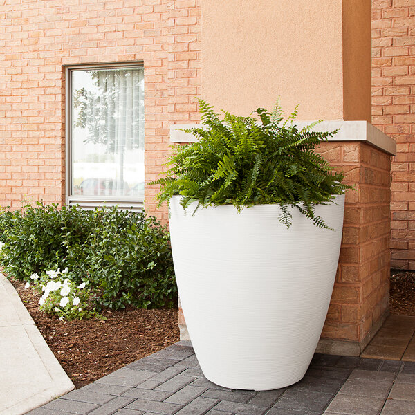 A Mayne Modesto white planter with a plant in it outside of a building.