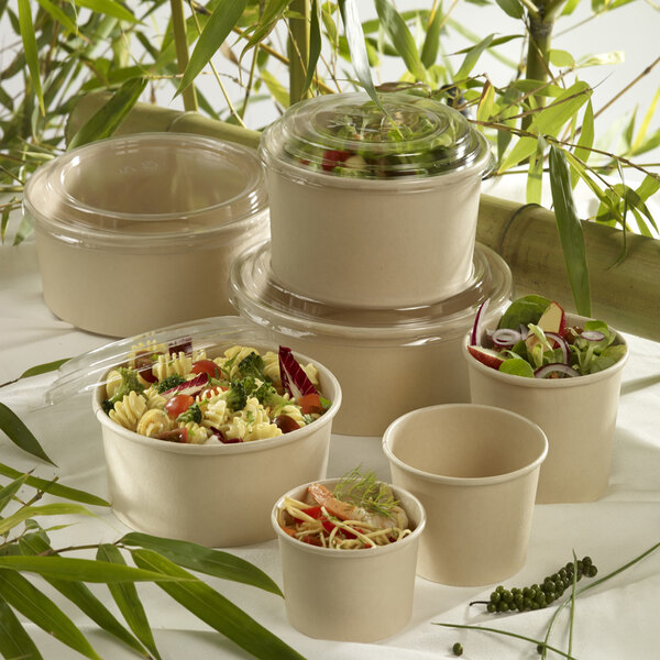 Solia bamboo fiber containers filled with pasta, salad, and noodles.