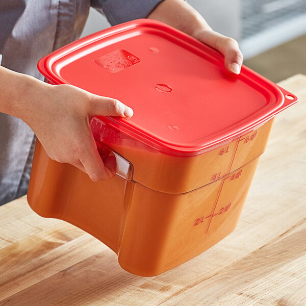 Vintage Red Tupperware Lunchbox, Food Storage Container, School