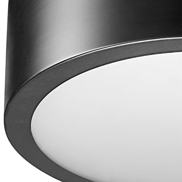 A Globe black iron flush mount light with frosted glass shade.