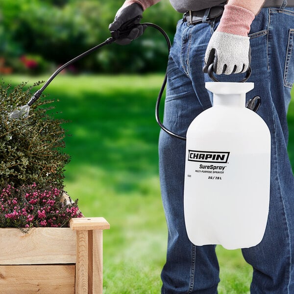 A person using a Chapin SureSpray garden sprayer to spray a plant.