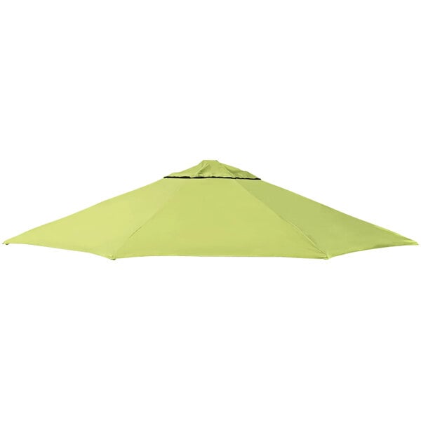 A green umbrella with a black stripe on a white background.