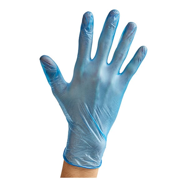 Noble Powder-Free Disposable Blue 3 Mil Thick Vinyl Gloves for Foodservice - Large - 1,000/Case