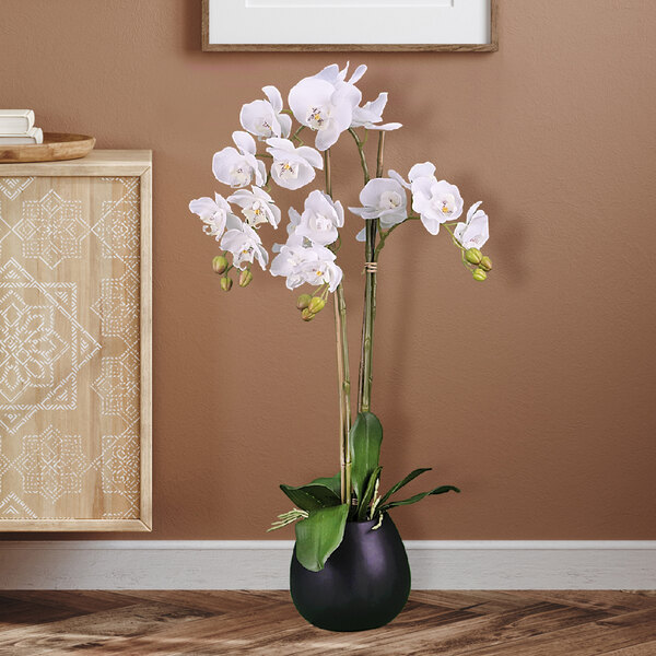 A black ceramic vase with white orchids in it.