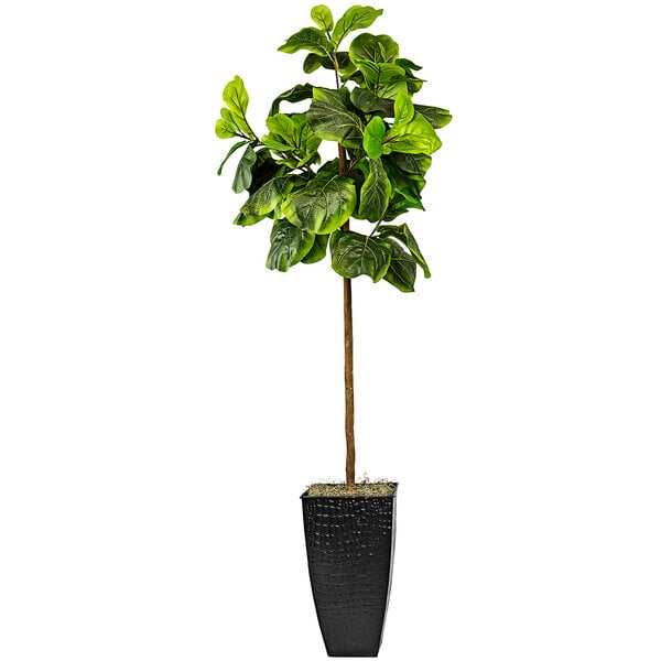 A LCG Sales artificial fig tree in a black metal fluted planter.