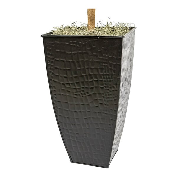 A black metal square fluted planter with a fig tree in it.