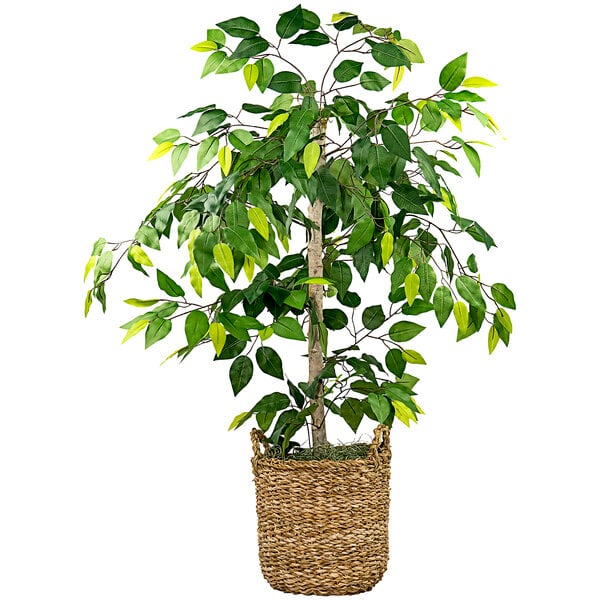 A LCG Sales artificial ficus tree in a basket with handles.