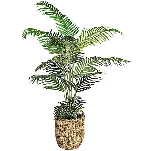 A 5' artificial areca palm tree in a basket with handles.