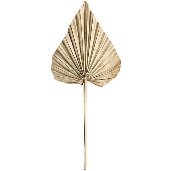 A close-up of a large dried palm leaf on a stick.