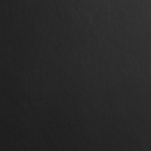 A black surface with small dots and a silver vein frame.