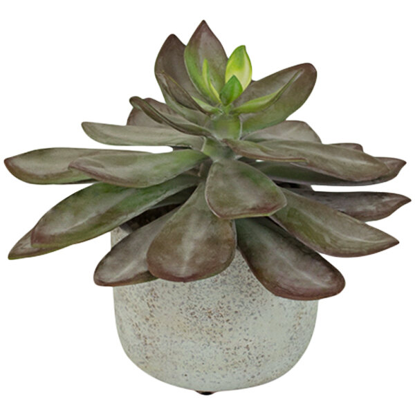 A Kalalou artificial succulent plant in a cement pot.