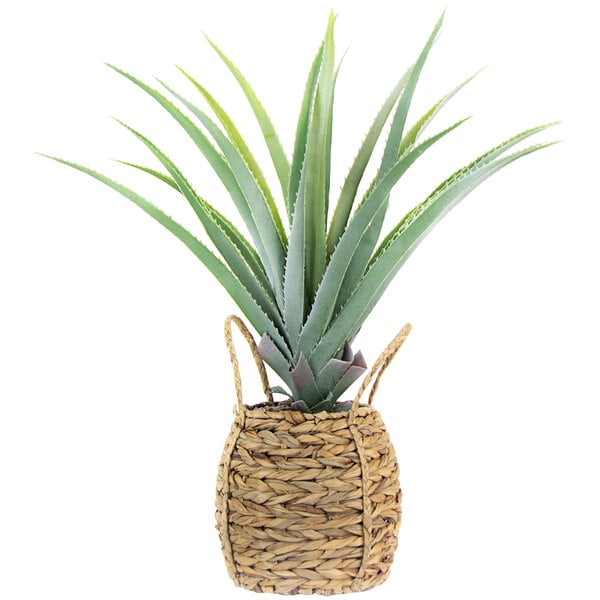 A Kalalou artificial aloe plant in a woven wicker basket.