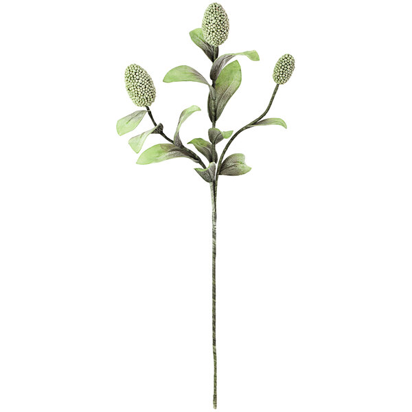 A close-up of a green plant stem with white leaves.
