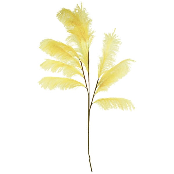 Kalalou yellow feathered pampas stem with yellow ostrich feathers.