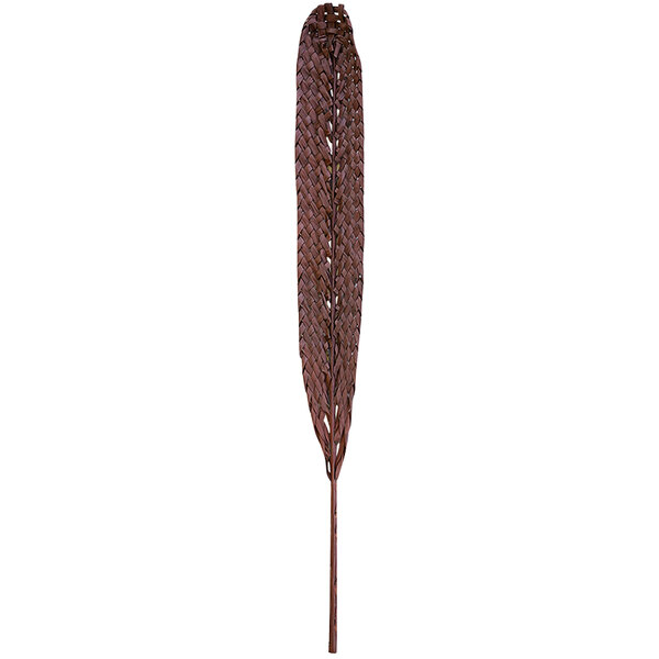 A brown woven tobacco leaf on a white background.
