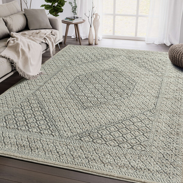 An Abani Cabo Collection cream and gray hexagon medallion area rug in a room.