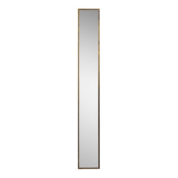 A long rectangular mirror with a gold frame.