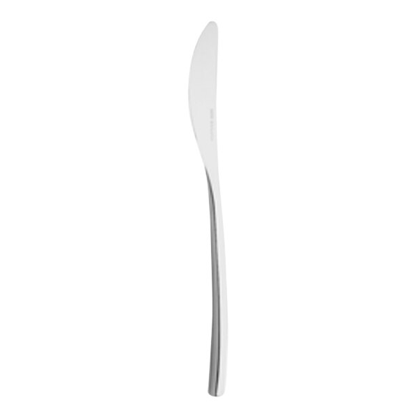 A silver Hepp by Bauscher Profile stainless steel dessert knife.