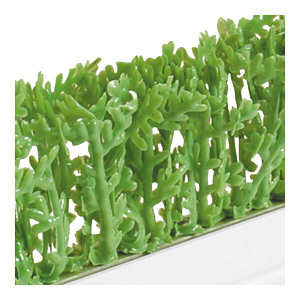 A Dalebrook green artificial melamine cypress divider in a white base.