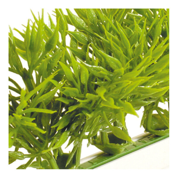 A close-up of a Dalebrook green melamine spruce divider with a green plant inside.