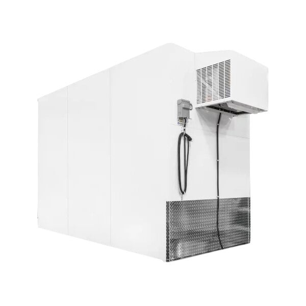Leer 5X10AD 5' x 10' Auto Defrost Cooler / Freezer / Ice Transport with 2 Swing Doors