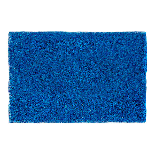 A blue sponge pad with a white border.