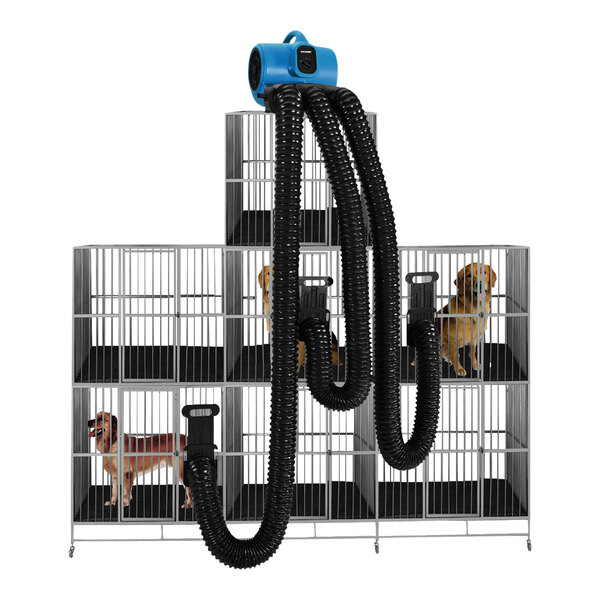 A dog in a cage with an XPOWER cage dryer hose attached.