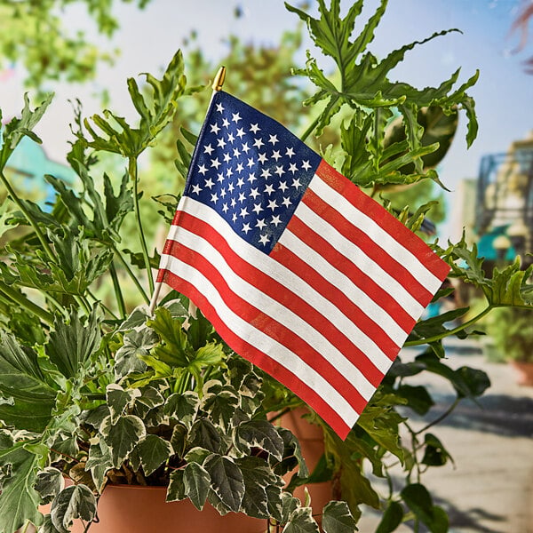 A potted plant with a Valley Forge United States of America stick flag in it.