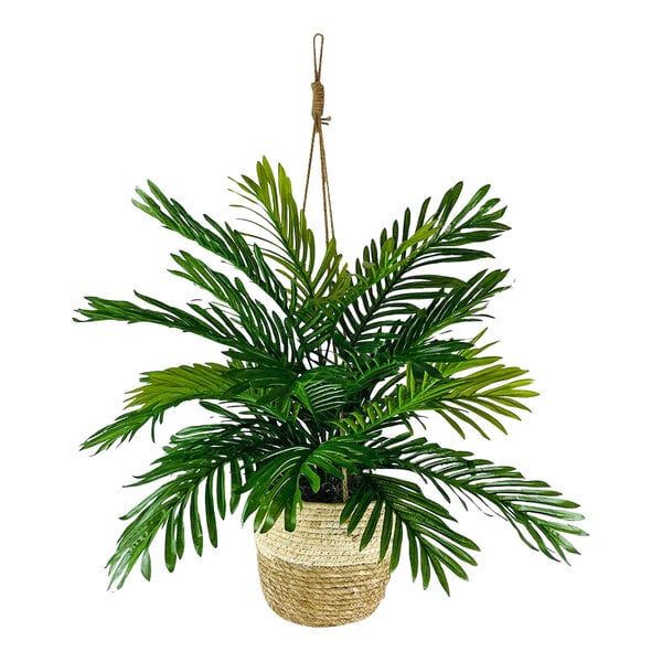 A 30" Artificial Phoenix Palm plant in a hanging basket.