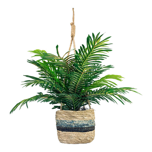 A LCG Sales artificial Phoenix Palm in a hanging basket with tri-color rope.