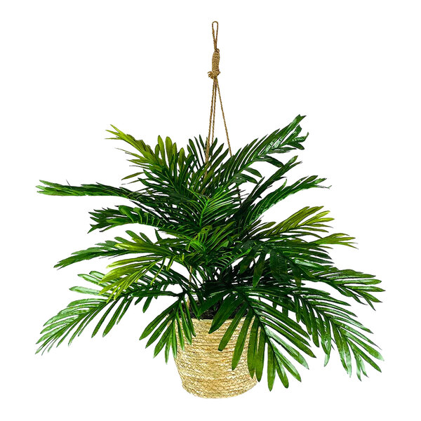 A 30" artificial Phoenix palm tree in a natural hanging basket.