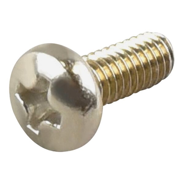 A close-up of a CRB Cleaning Systems M4 x 12 mm screw with a metal head.